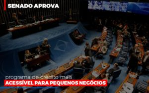 Senado Aprova Programa De Credito Mais Acessivel Para Pequenos Negocios Notícias E Artigos Contábeis - Rocha Contábil