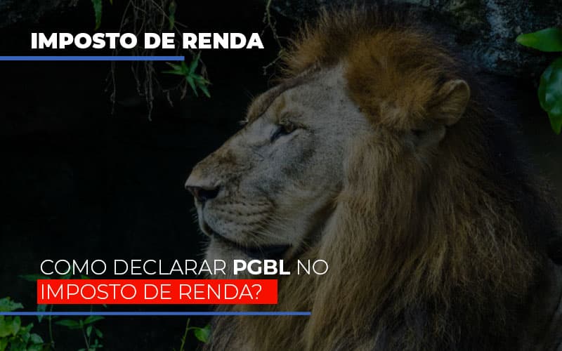 Ir2020:como Declarar Pgbl No Imposto De Renda Notícias E Artigos Contábeis - Rocha Contábil