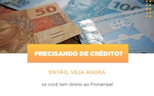 Precisando De Credito Entao Veja Se Voce Tem Direito Ao Pronampe Notícias E Artigos Contábeis - Rocha Contábil