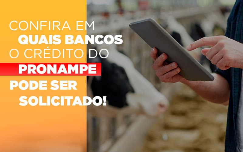 Confira Em Quais Bancos O Credito Pronampe Ja Pode Ser Solicitado - Rocha Contábil