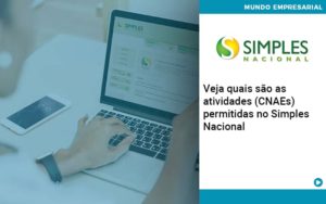 Veja Quais São As Atividades (cnaes) Permitidas No Simples Nacional Abrir Empresa Simples - Rocha Contábil