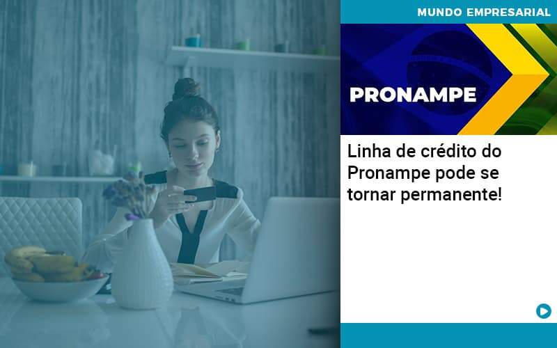 Linha De Credito Do Pronampe Pode Se Tornar Permanente Abrir Empresa Simples - Rocha Contábil