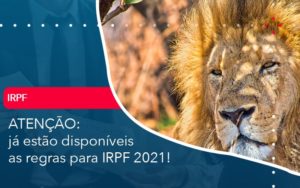 Ja Estao Disponiveis As Regras Para Irpf 2021 - Rocha Contábil