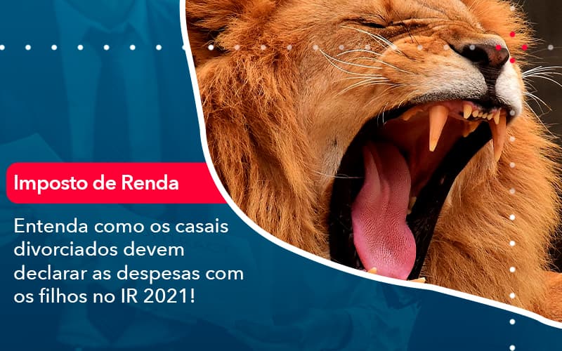 Entenda Como Os Casais Divorciados Devem Declarar As Despesas Com Os Filhos No Ir 2021 1 - Rocha Contábil