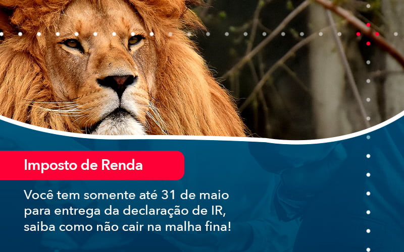 Voce Tem Somente Ate 31 De Maio Para Entrega Da Declaracao De Ir Saiba Como Nao Cair Na Malha Fina 1 - Rocha Contábil