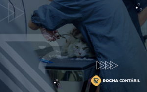 Aprenda Como Elaborar Um Planejamento Financeiro Para Sua Clinica Veterinaria Post (1) - Rocha Contábil