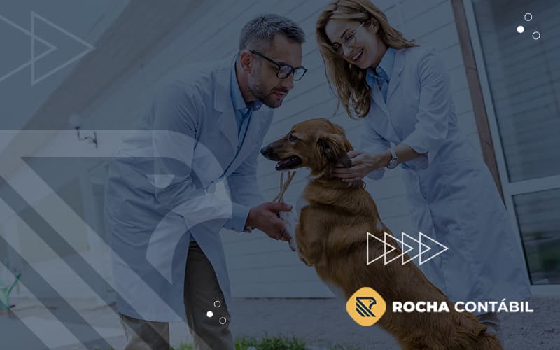 Saiba Como Ser Mais Assertivo Na Contratacao De Profissionais Para Uma Clinica Veterinaria Post (1) - Rocha Contábil