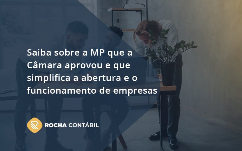 Saiba Mais Sobre A Mp Que A Câmara Aprovou E Que Simplifica A Abertura E O Funcionamento De Empresas Rocha - Rocha Contábil