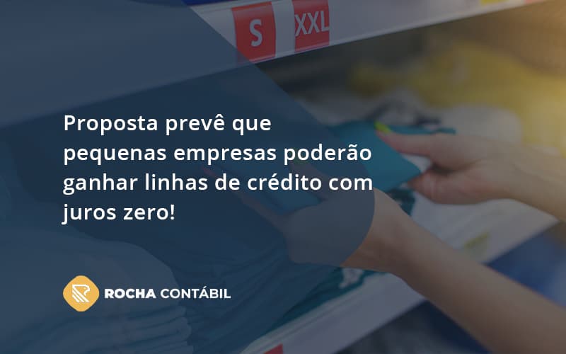 Proposta Prevê Que Pequenas Empresas Poderão Ganhar Linhas De Crédito Com Juros Zero Rocha Contabil - Rocha Contábil