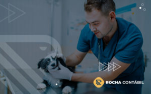 Entenda As Vantagens Da Antecipacao De Recebiveis Para A Sua Clinica Veterinaria E Pet Shop Blog - Rocha Contábil