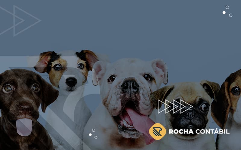 Como Fazer A PrecificaÇÃo De ServiÇo Para VeterinÁrios E Pet Shops Blog - Rocha Contábil